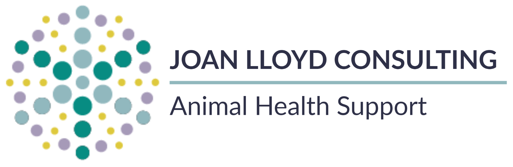 Joan Lloyd Consulting Pty Ltd