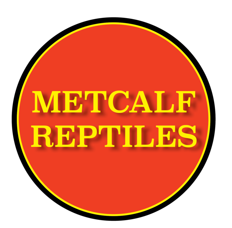 Metcalf Reptiles