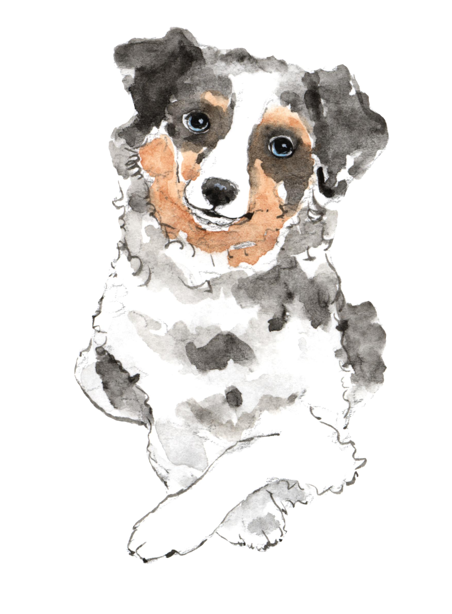 Supplies needed for new cheap puppy