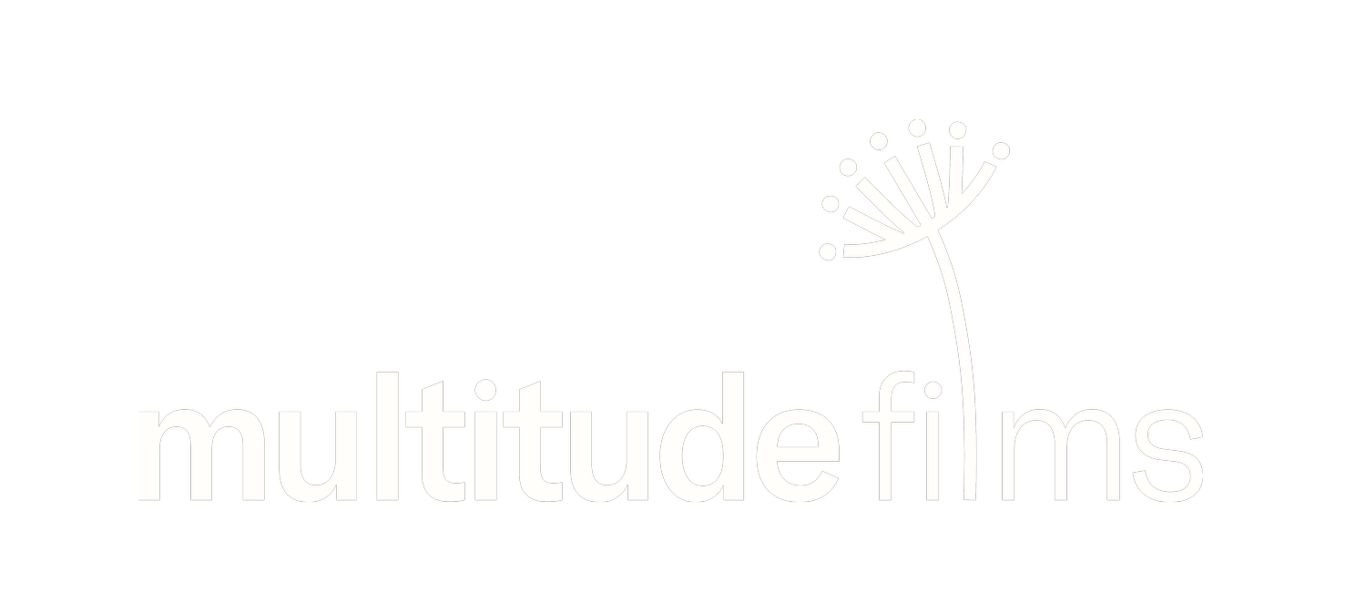 Multitude Films