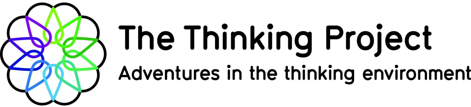 The Thinking Project