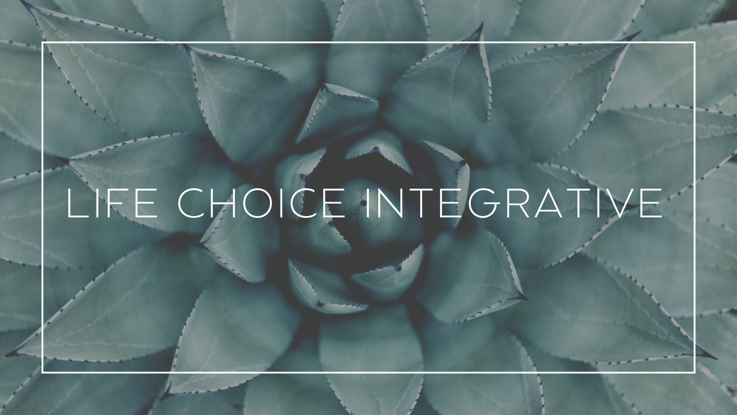Life Choice Chiropractic