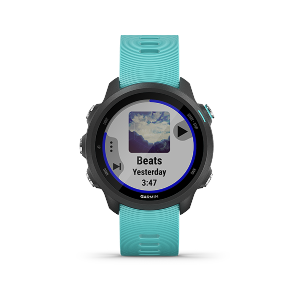 forerunner 245m