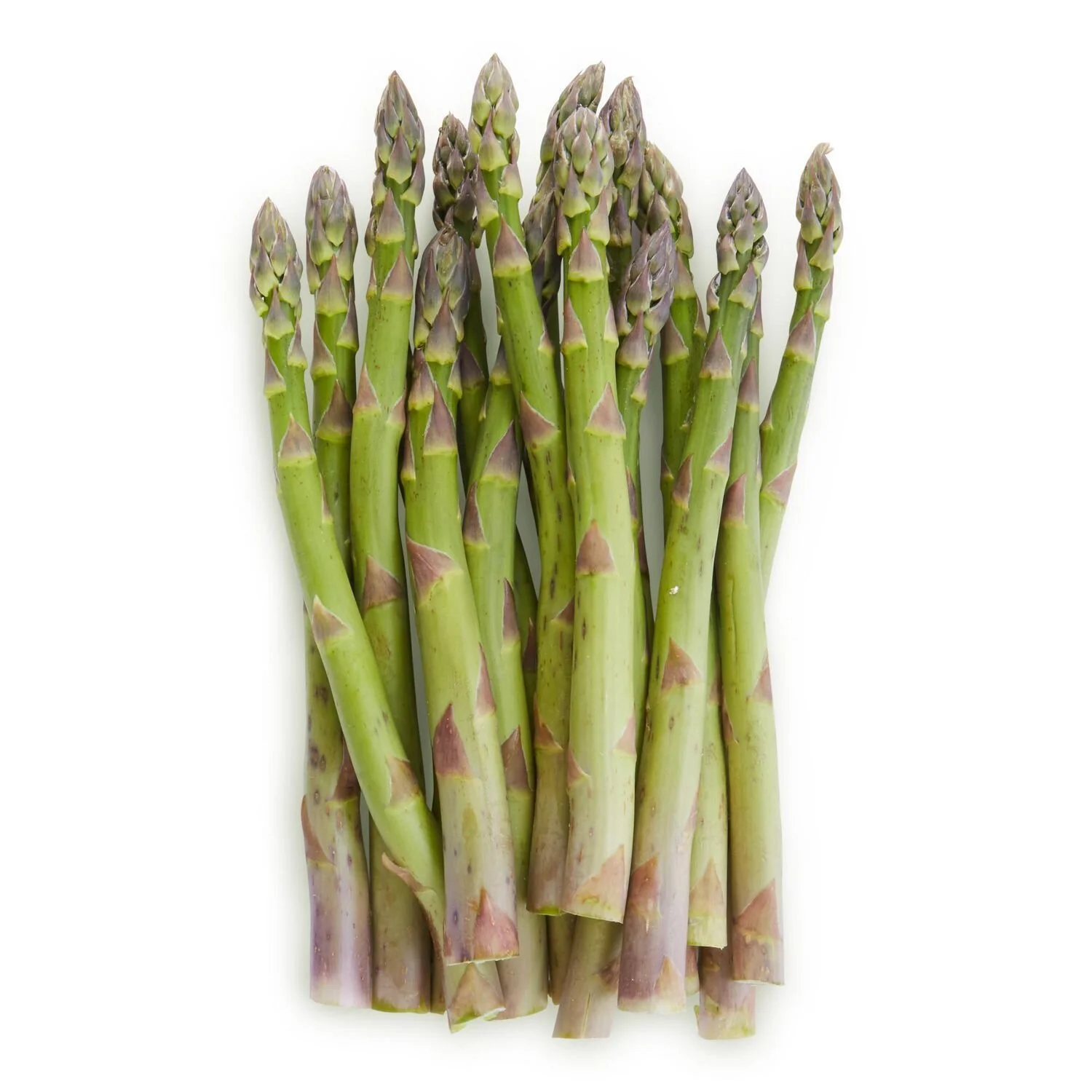 ASPARAGUS 「#1 / モメント」 61WBtUekmGL._UF350,350_QL50_.jpg