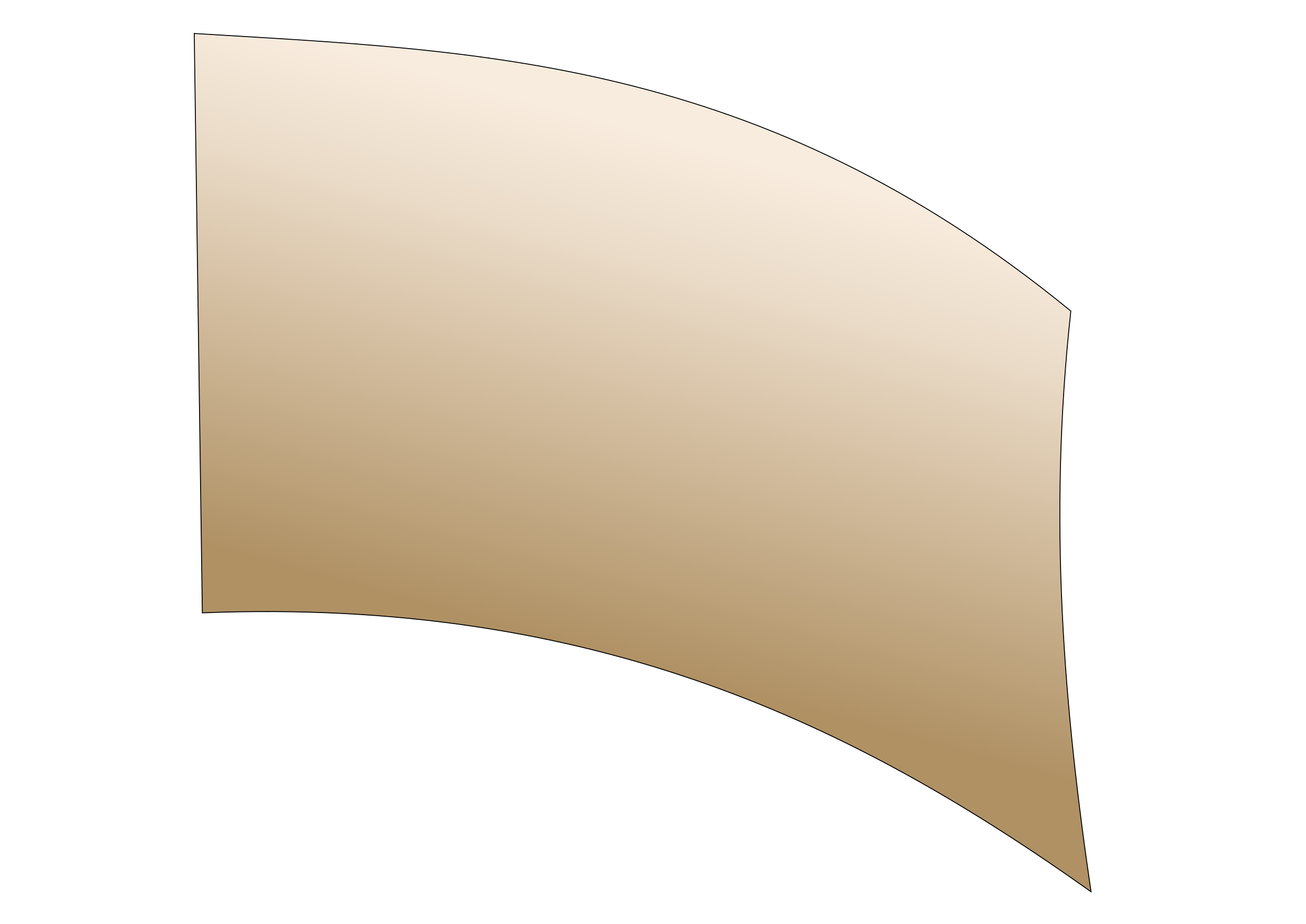 standard vegas gold ombre marching arts inc