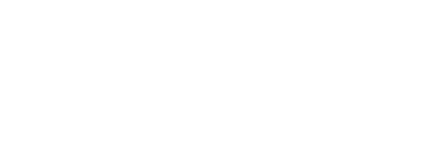 Optimus Talent Partners