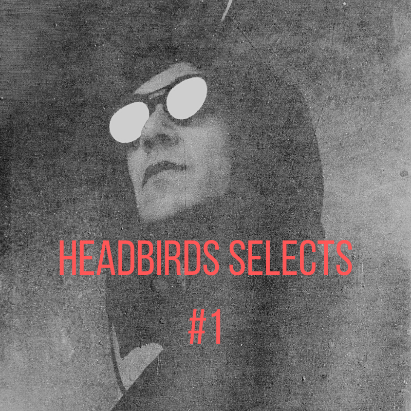 Headbirds Selects: 10 temazos electrónicos de reciente aleación (con licencias) para darle push a tus playlists