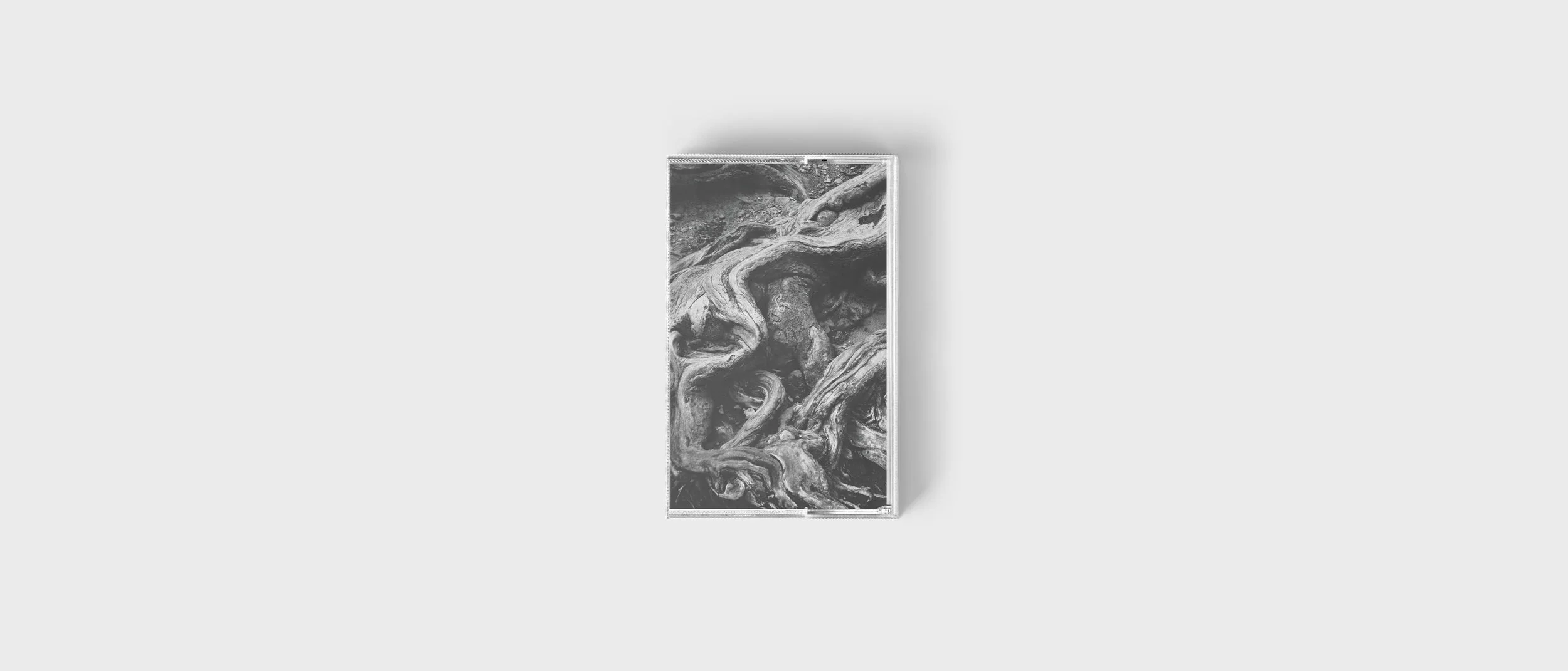 [Première!] Un track de Hektor Legion para evitar los bajones Blue Monday en el nuevo cassette de Illegal Alien Records