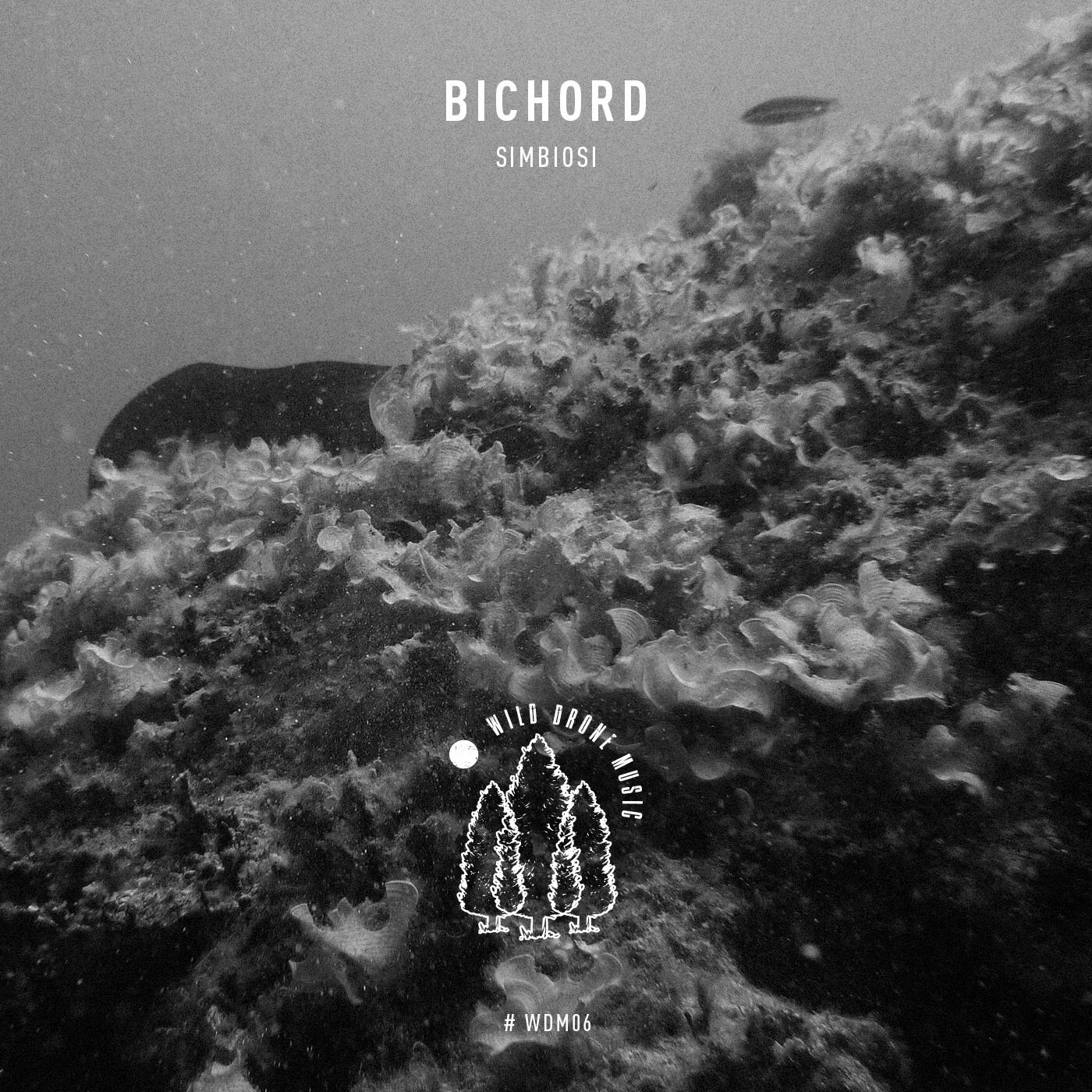 Los italianos Bichord en Wild Drone Music [Première!]