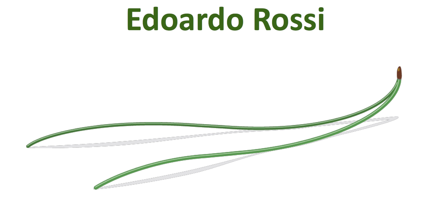 Edoardo Rossi