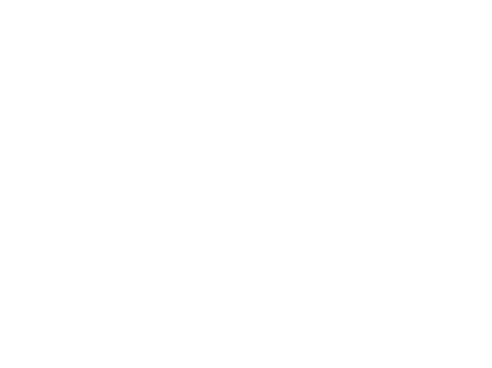 The Caseys
