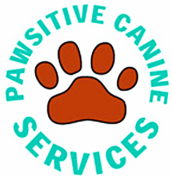 Pawsitive Canine Services | Dog Walkers | Central Scotland |  Microchipping | Doggy Daycare | Petsitting | Pet Taxi