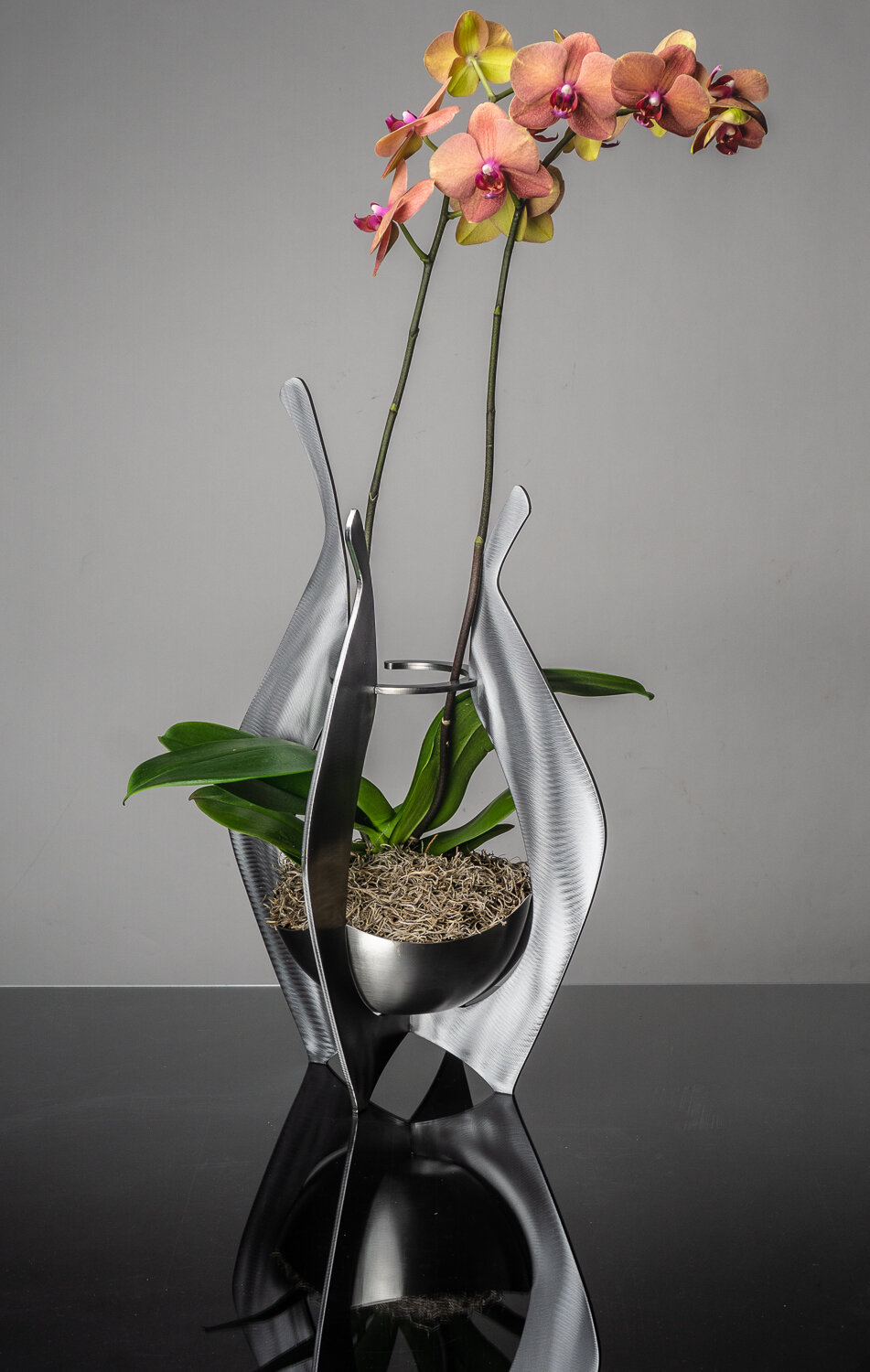 Orchid Display Vase - Specify color: Aqua or Slate — Girardini Design
