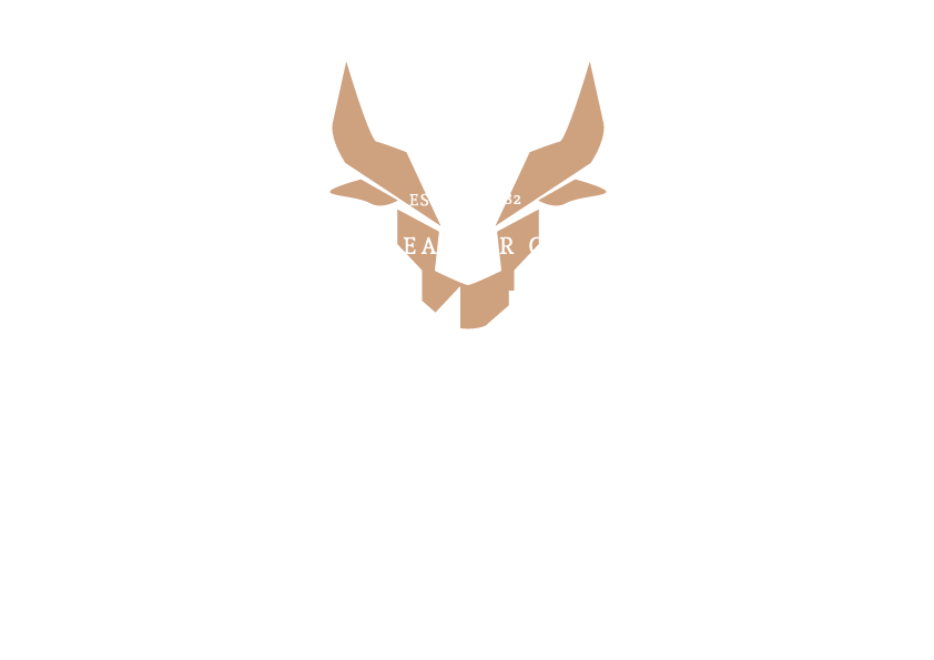 Lumens India