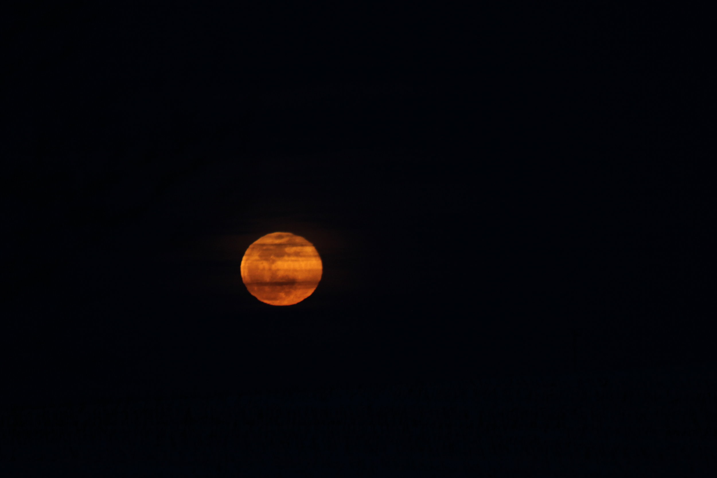 IMG_4849 copy.jpg