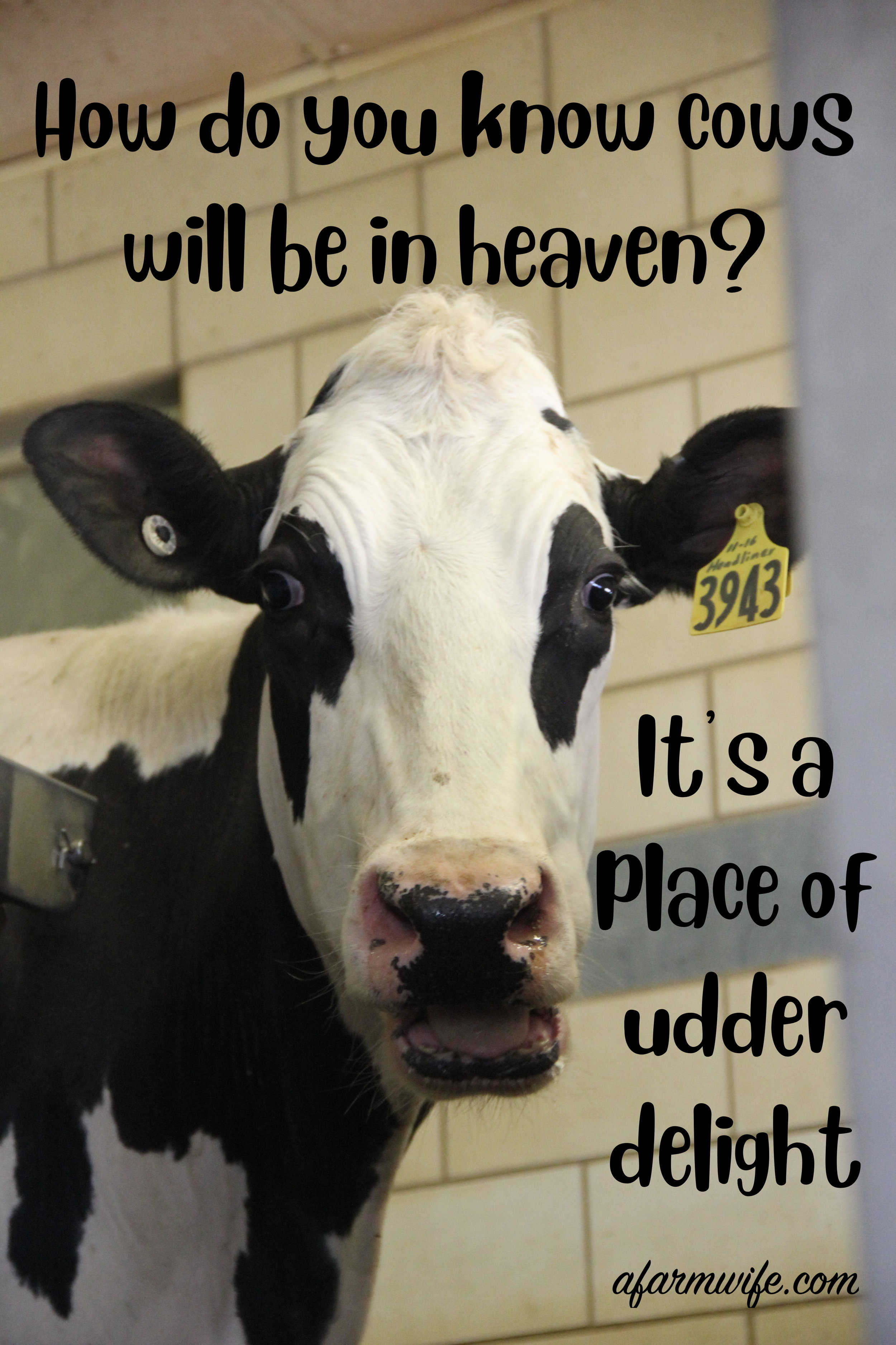 天堂-udder delight.jpg