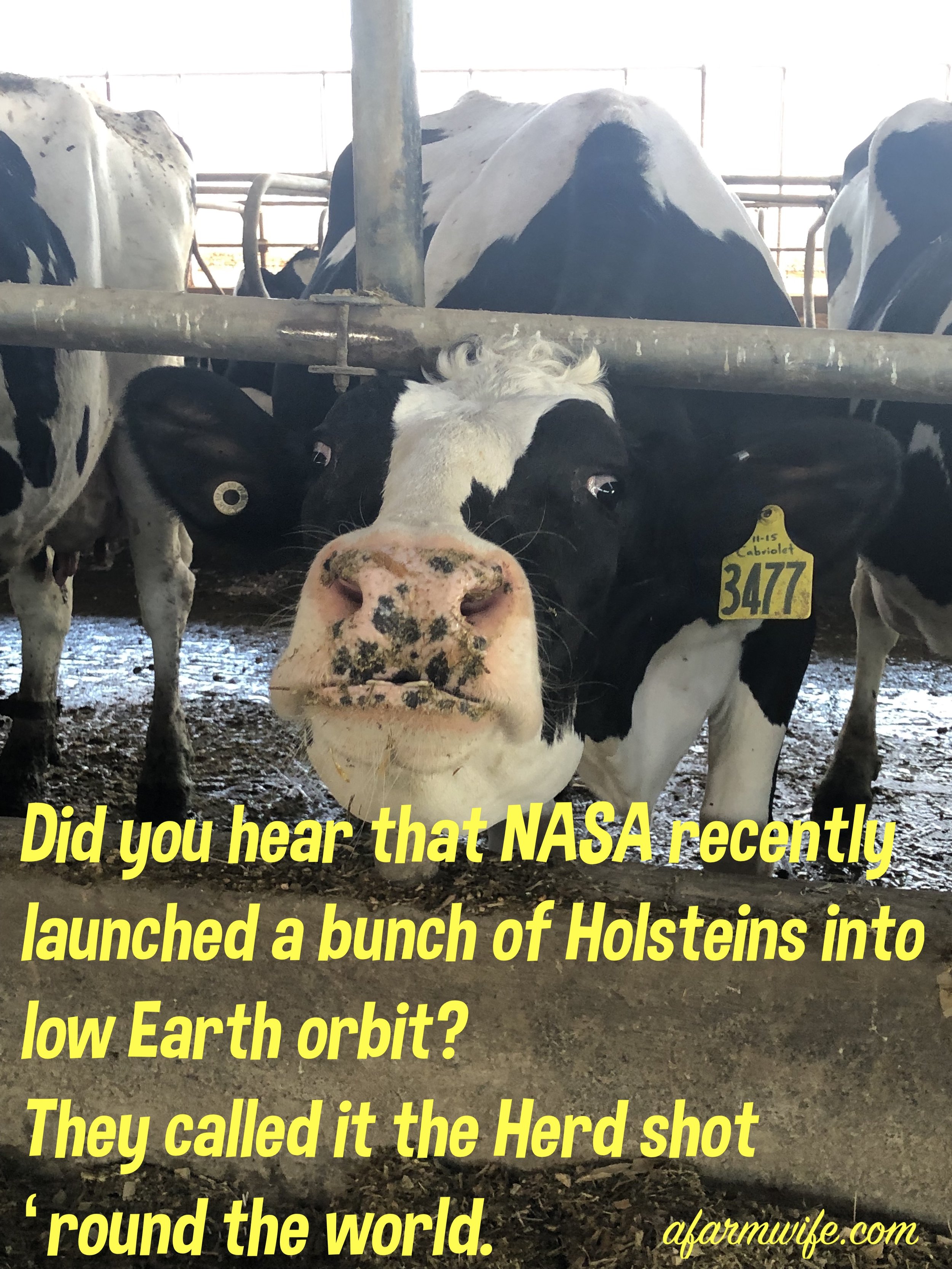 NASA.jpg