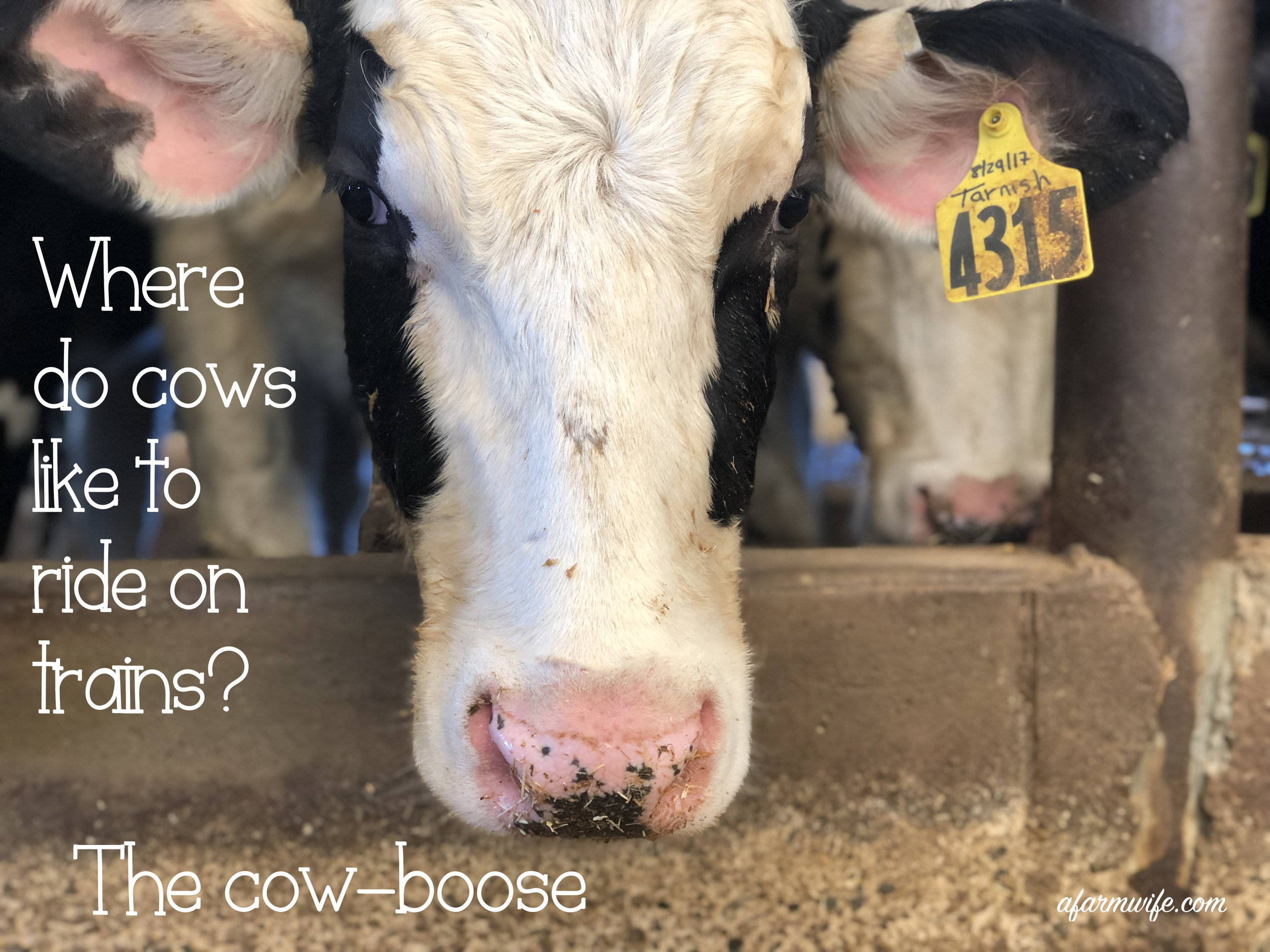 火车-cowboose.jpg