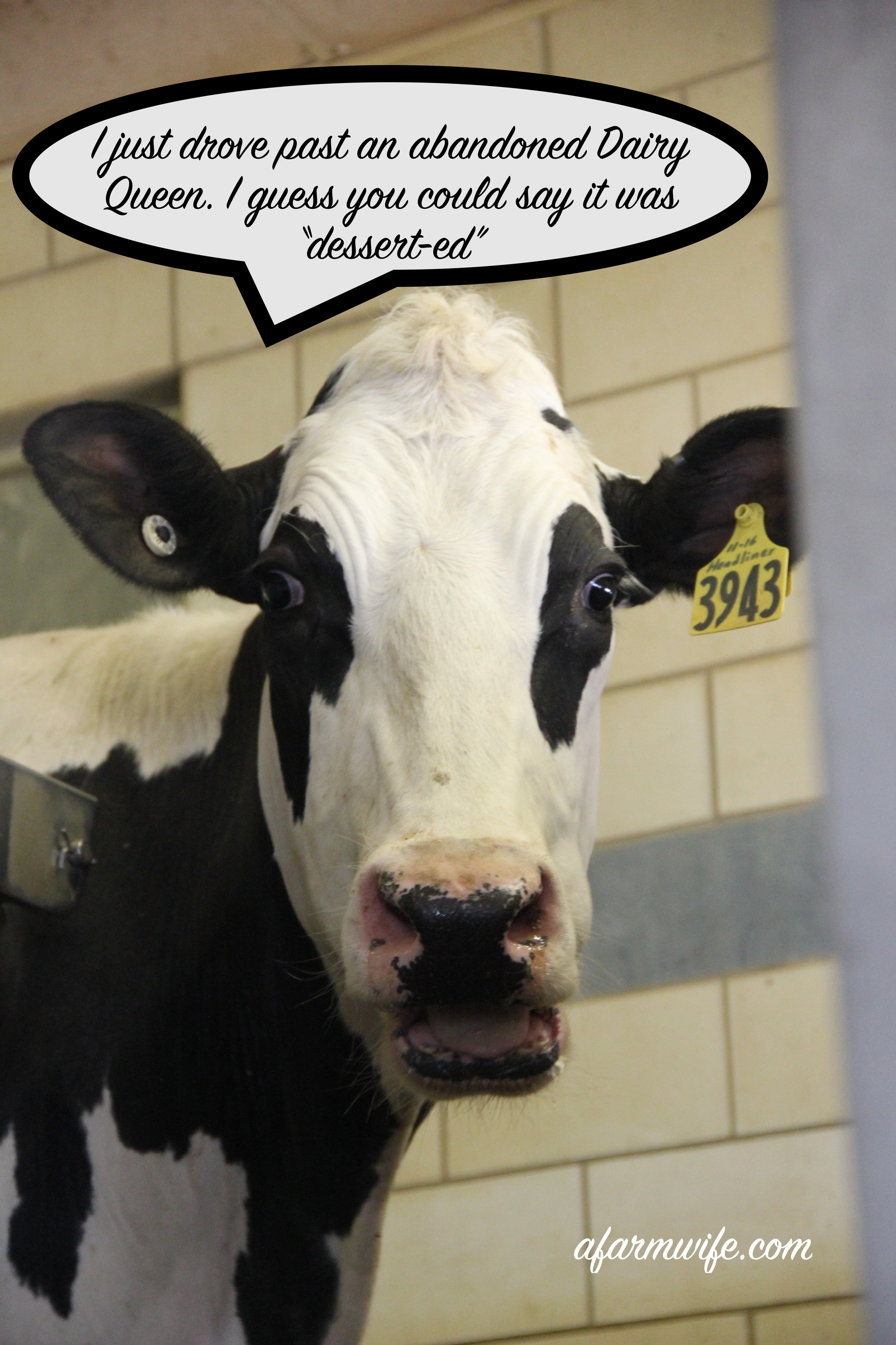 甜点Dairy Queen.jpg