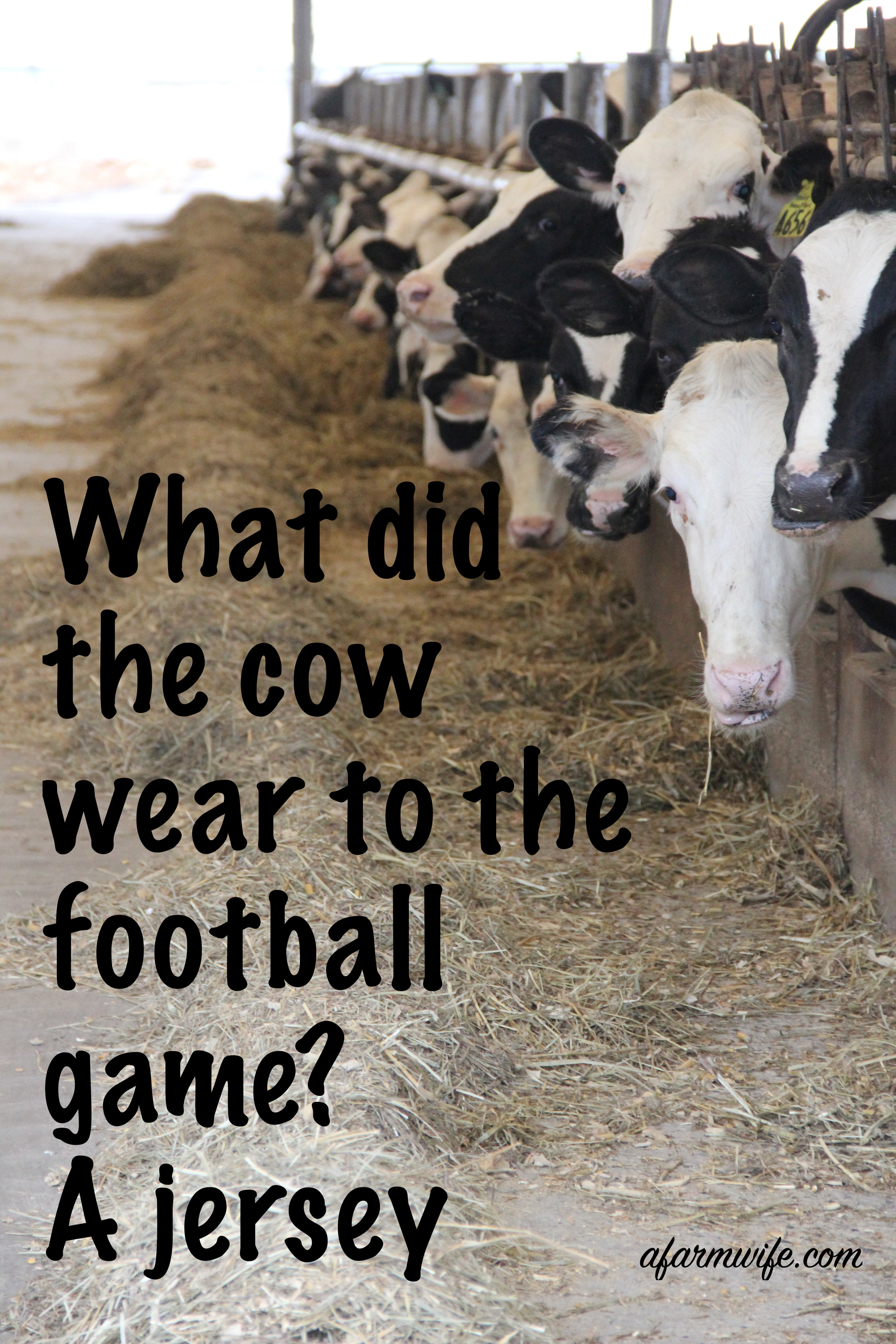 球衣-football game.jpg