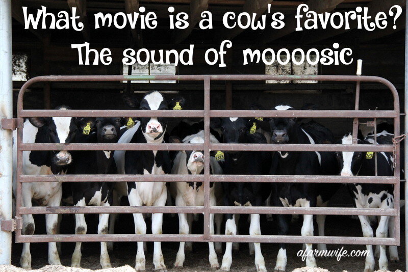 mooosic.jpg的声音