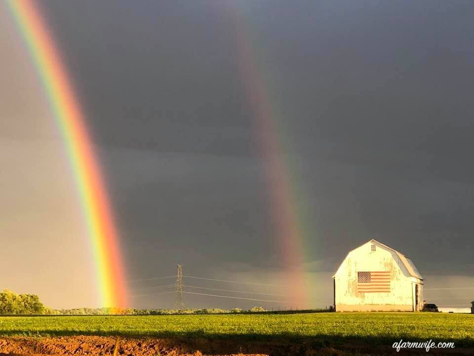 彩虹丹的barn.jpg