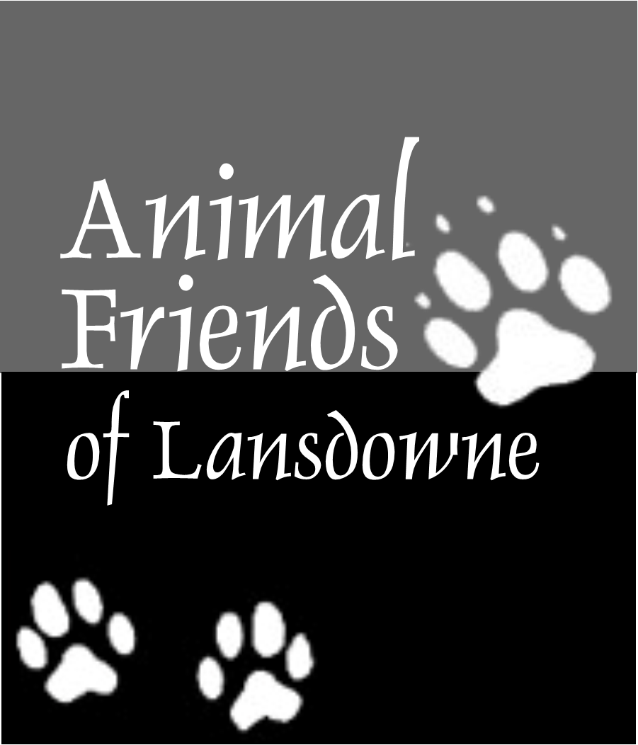 Animal Friends of Lansdowne