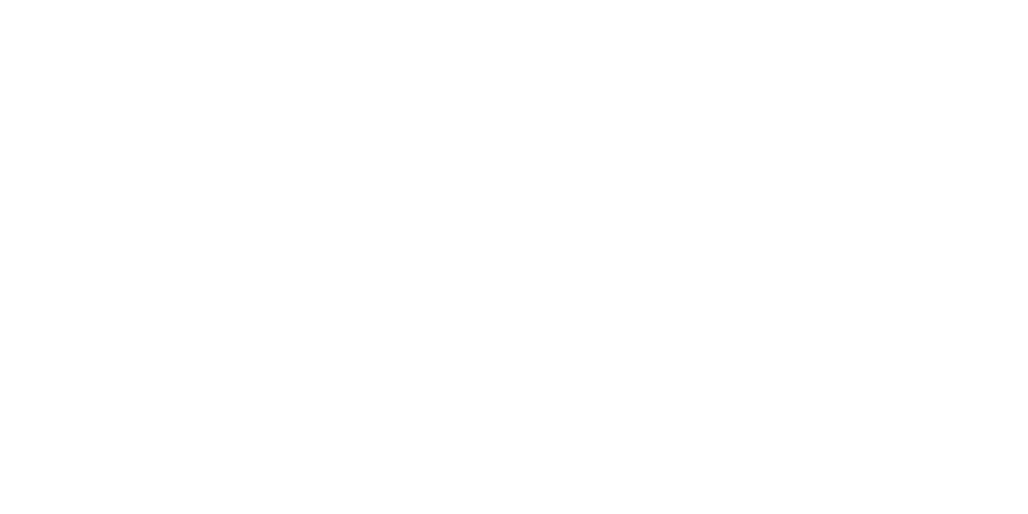 Animal Years