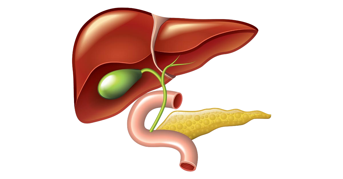 fb-liver-and-gallbladder-cleanse-dr robert selig回到了自然健康.png