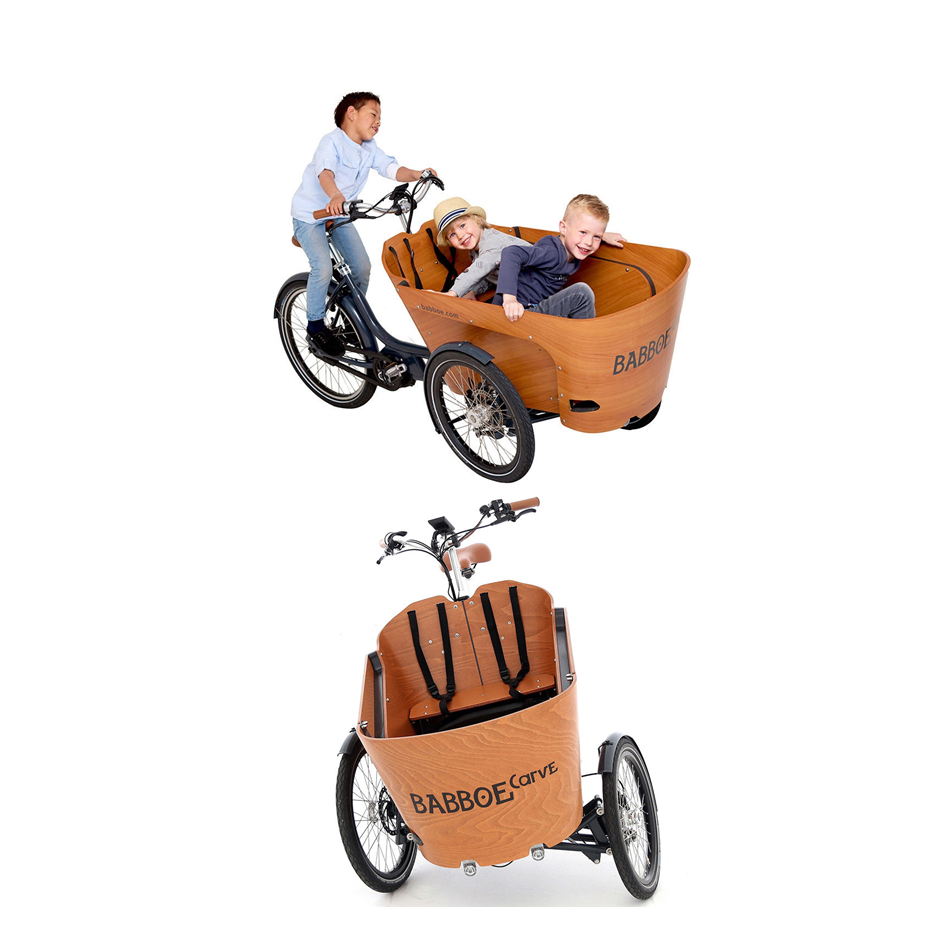 babboe carve e
