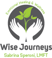 Wise Journeys                 