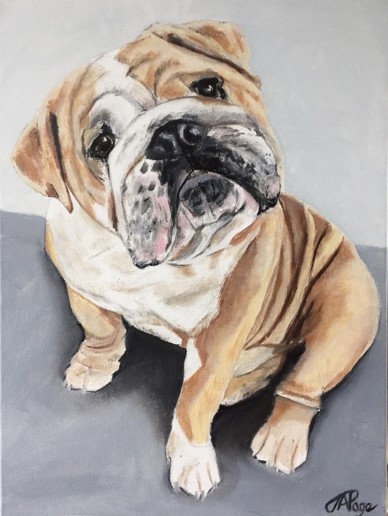 English Bulldog 12 By 16 Inch Oil Painting Dog On Canvas By James Page