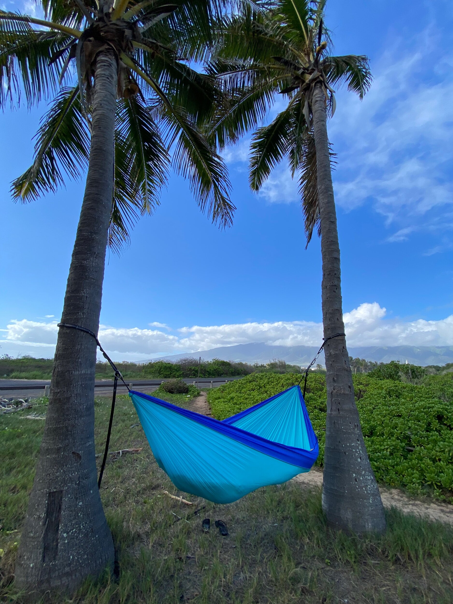 Hammock sky xxl hammock chair shop