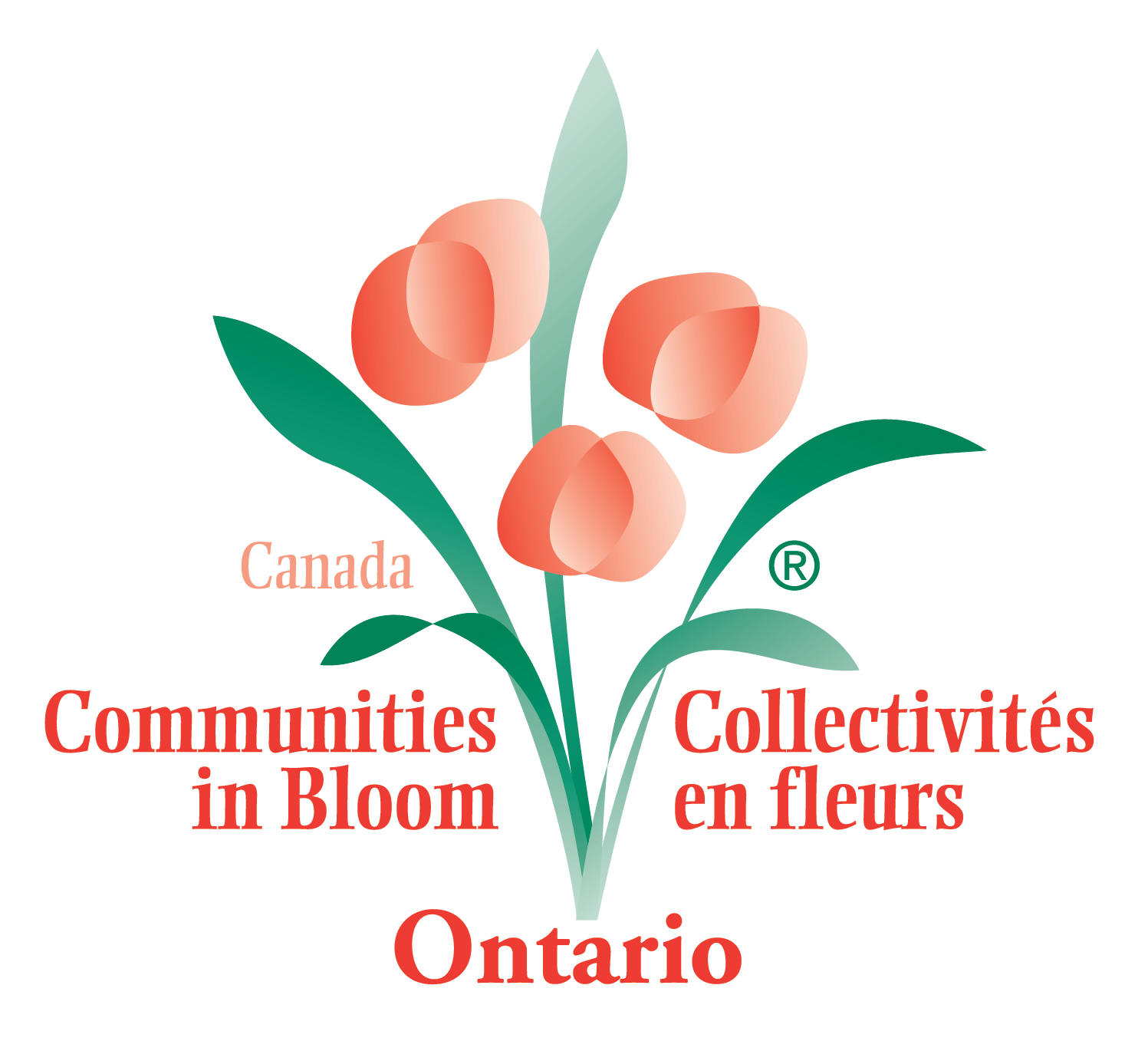 CIB Ontario