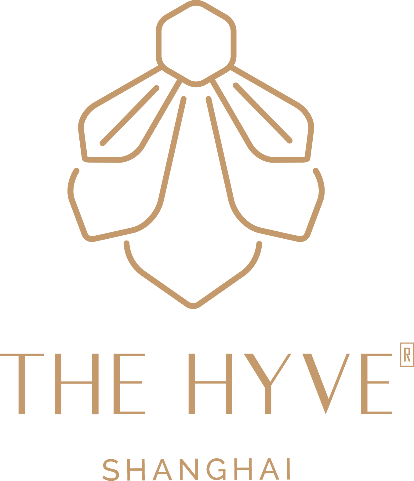 THE HYVE