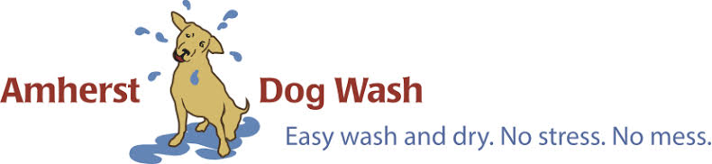 Amherst Dog Wash