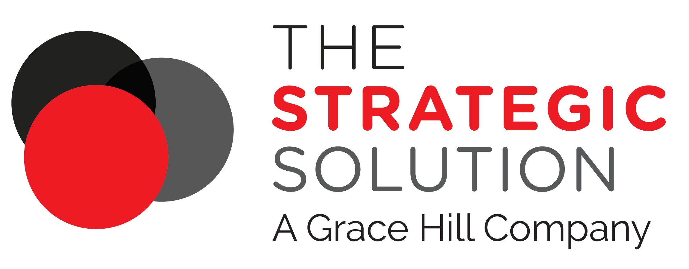 Our Team — The Strategic Solution