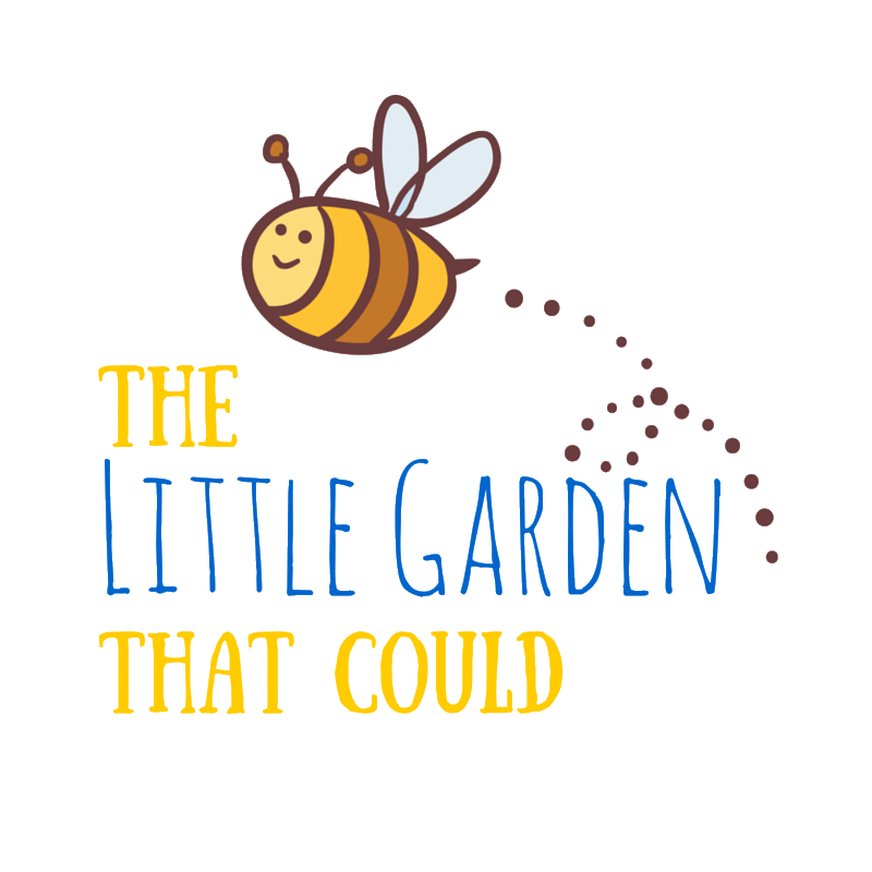 The Little Garden That Could