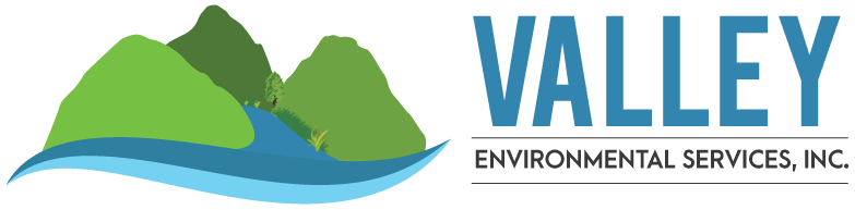 Valley Environmental Services, Inc.