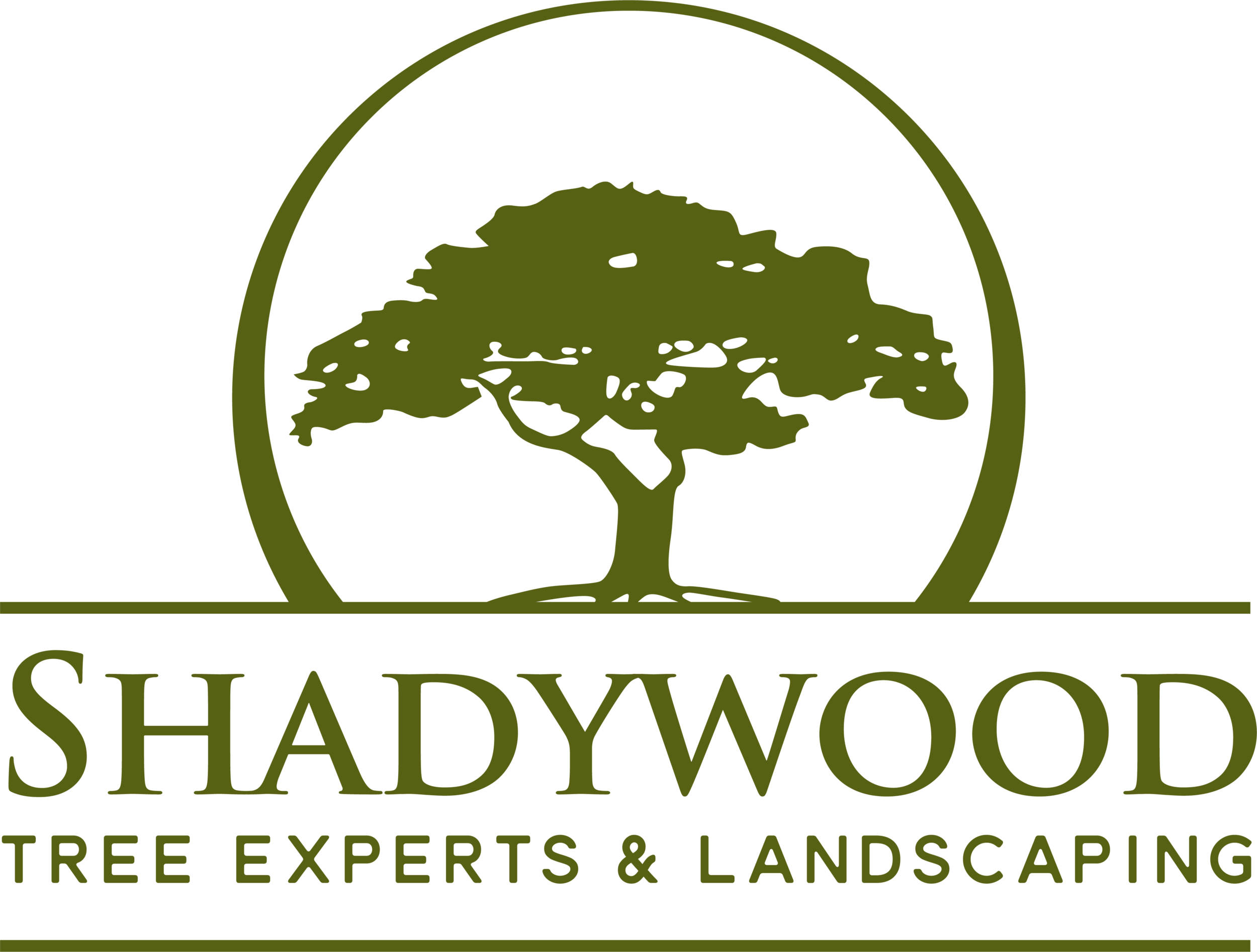 Shadywood Tree Experts and Landscaping