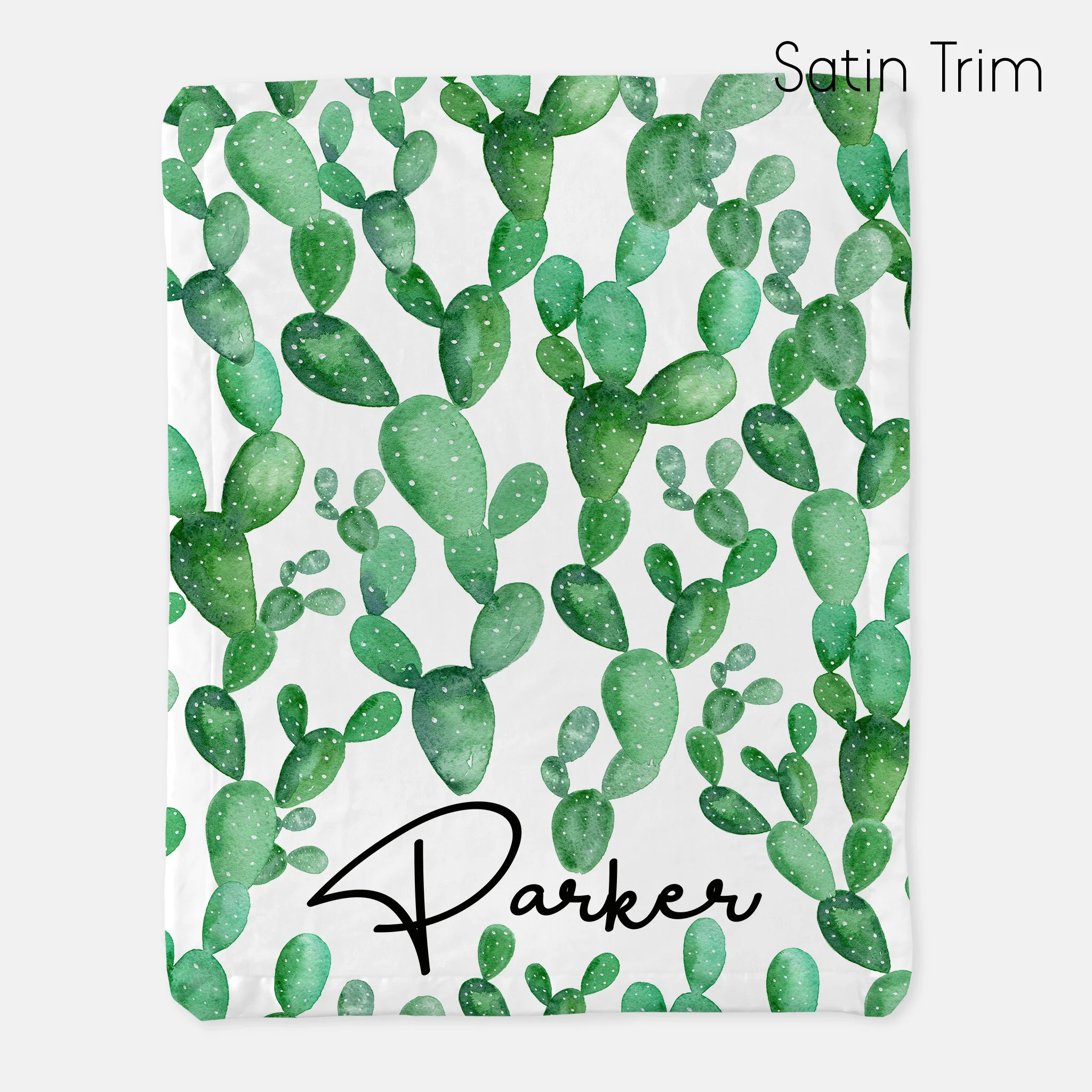 cactus baby blanket
