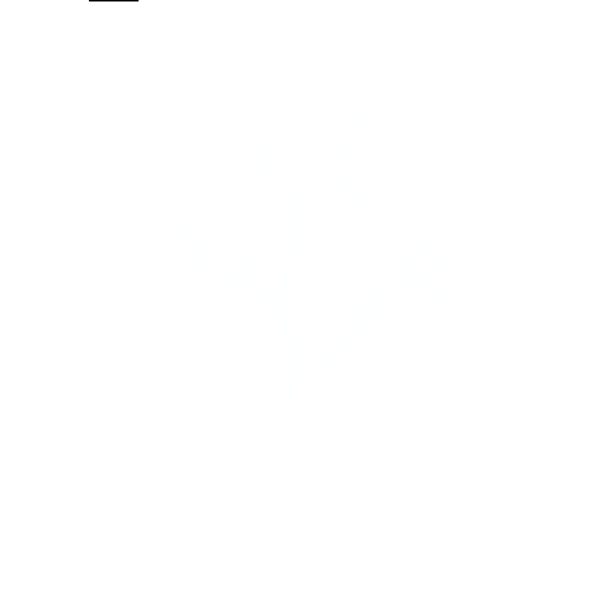 True North Events & Design