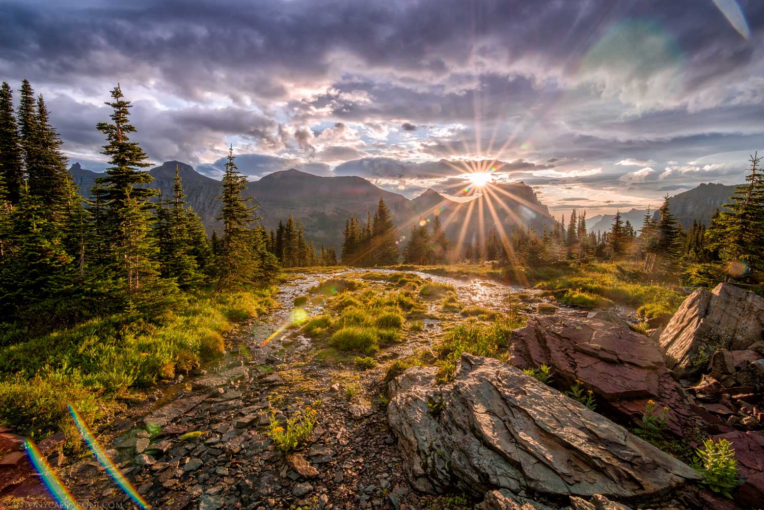 sunrise-glacier-national.jpg