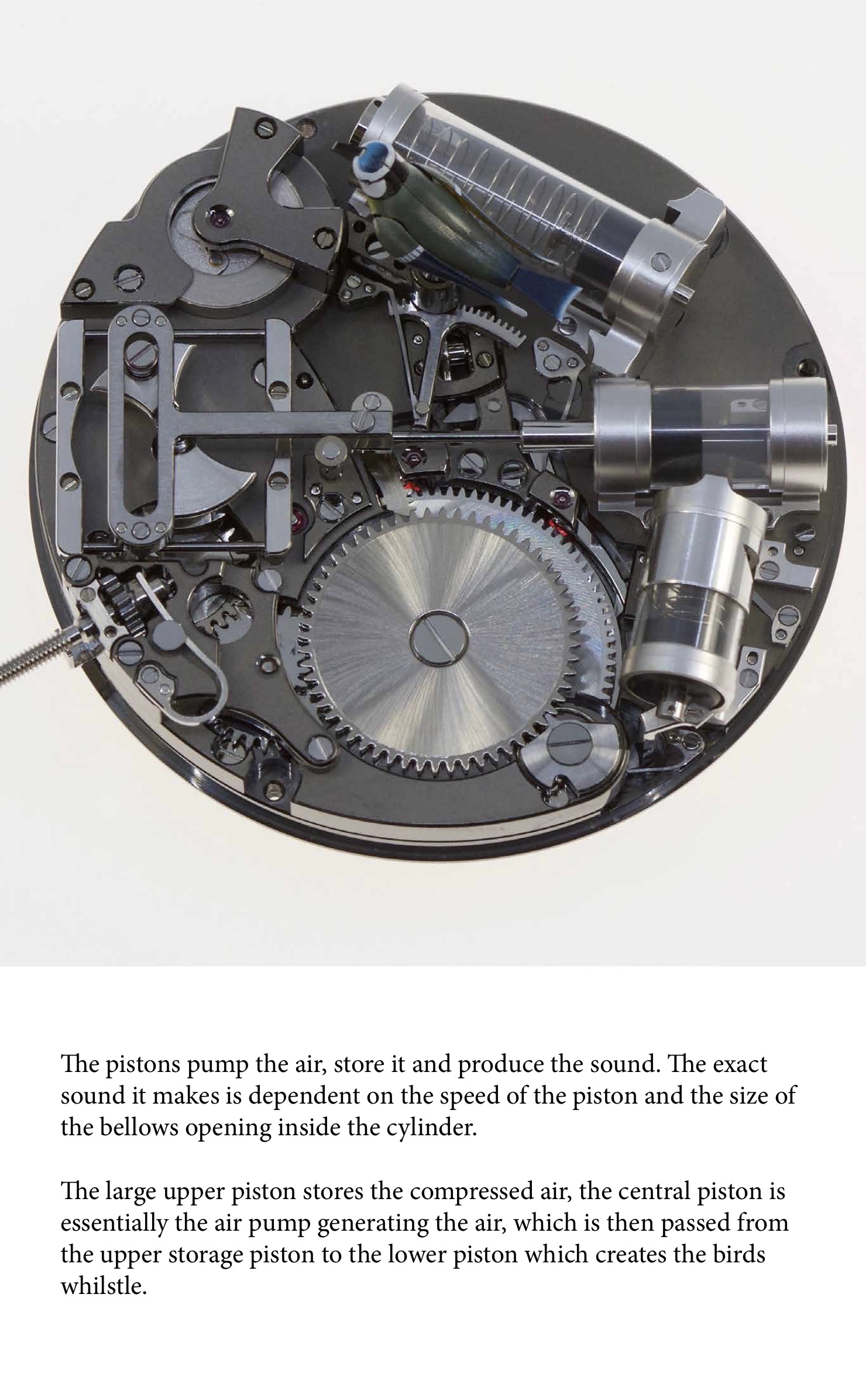 The Naked Watchmaker