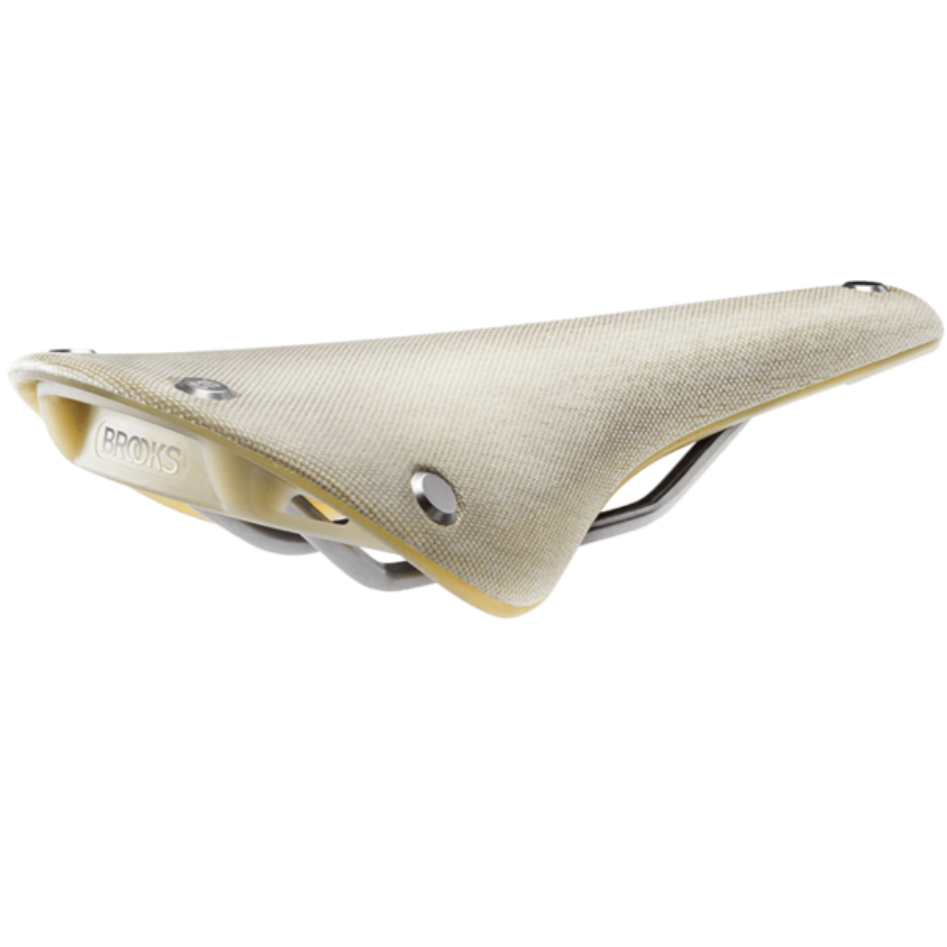 brooks cambium c17 organic light