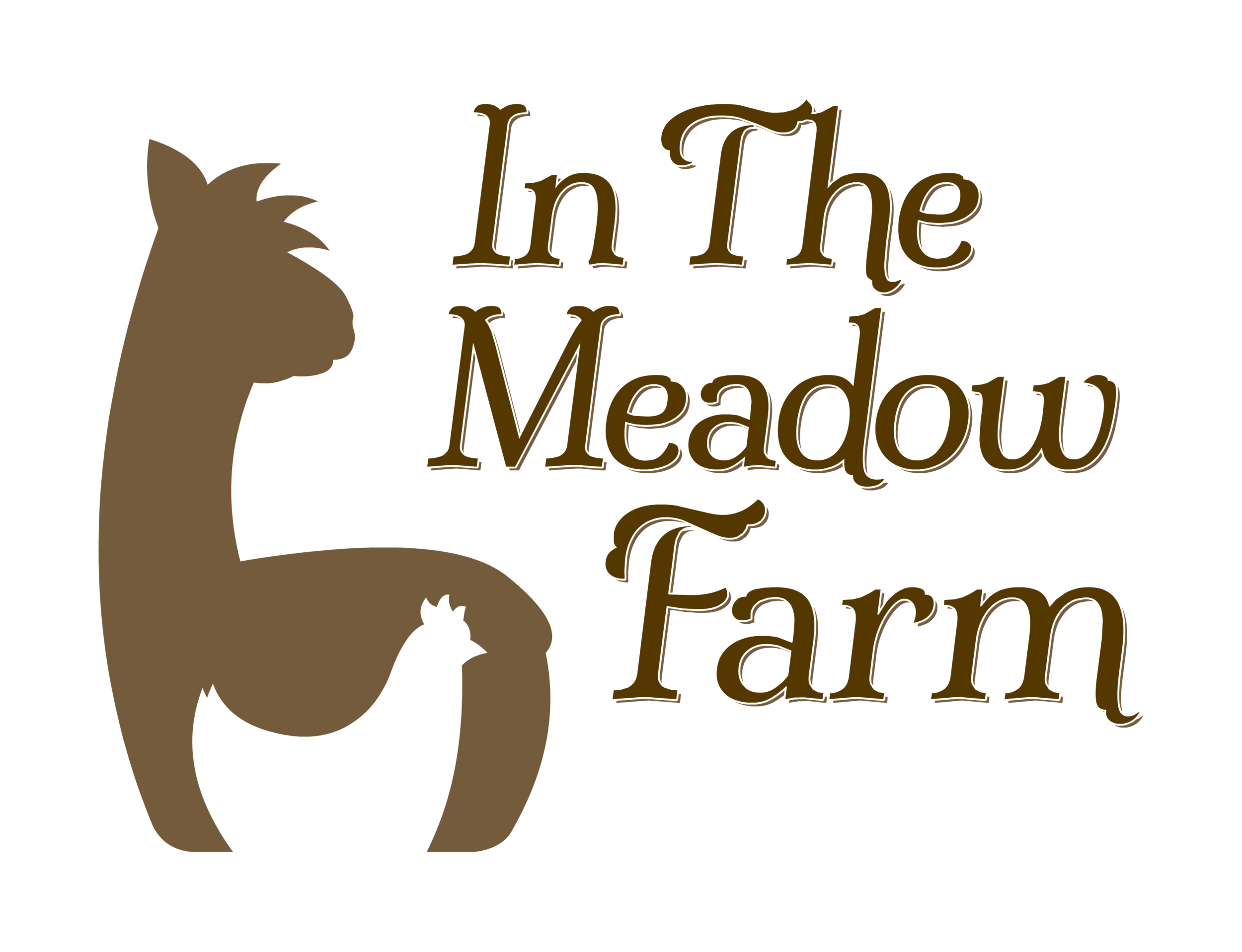 In The Meadow Farm Alpacas