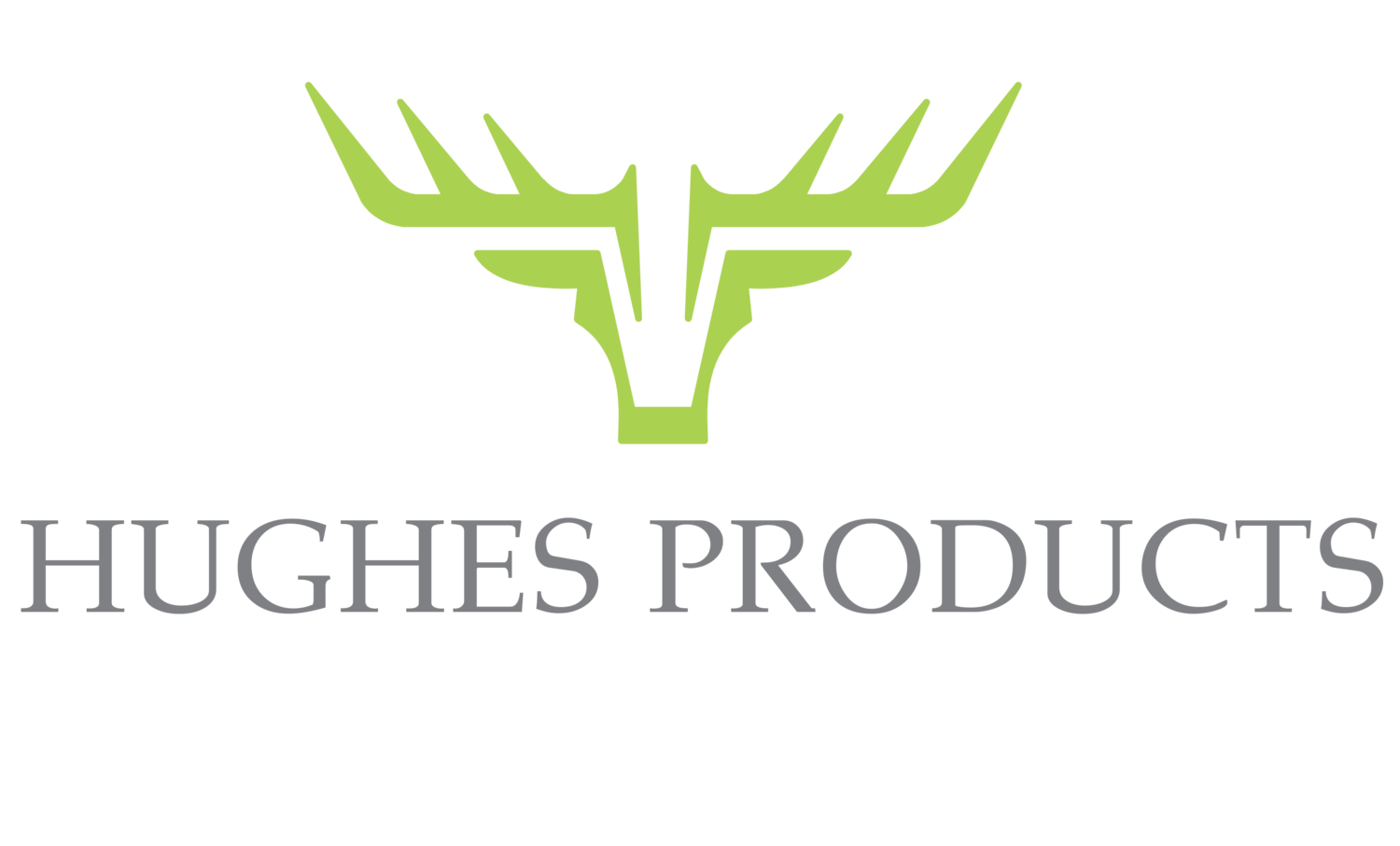 HUGHES PRODUCTS 