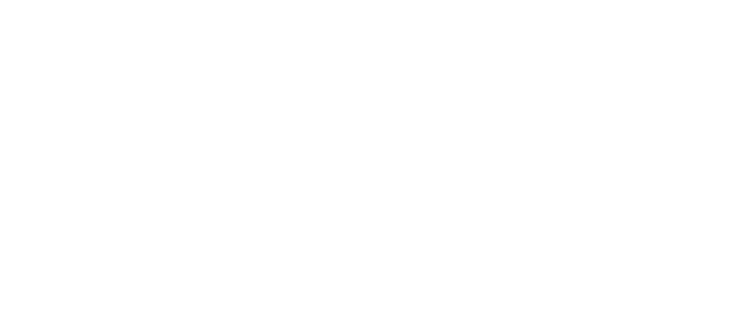 Focused Physiotherapy