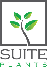 Suite Plants - Green Wall Experts
