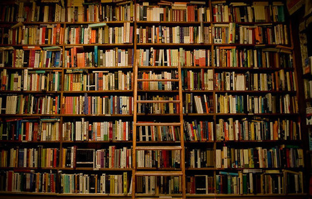 Bookworm.jpeg.